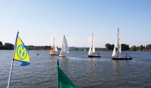 Segelboote bei einer Regatta am Waldschacher See
